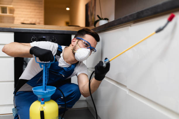 Best Residential Pest Control  in Davidson, NC