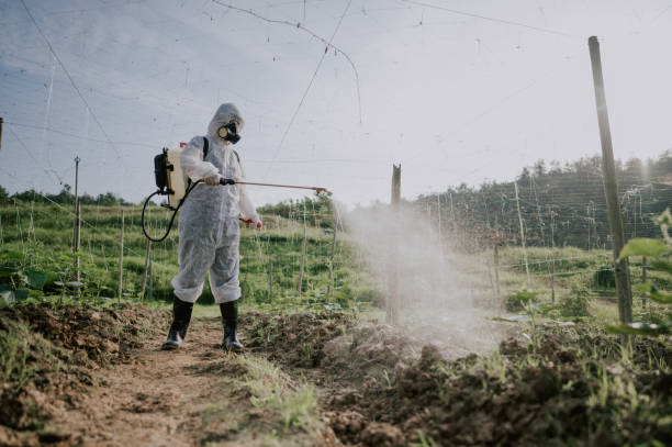 Best Best Pest Control Companies  in Davidson, NC