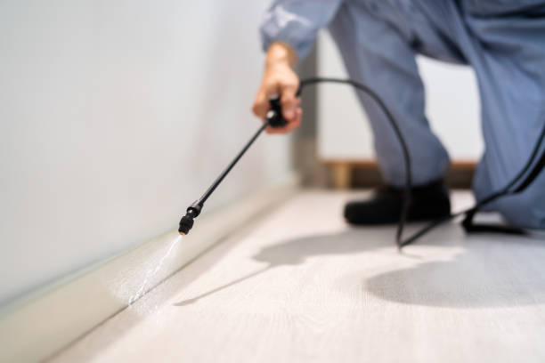 Pest Control Cost in Davidson, NC