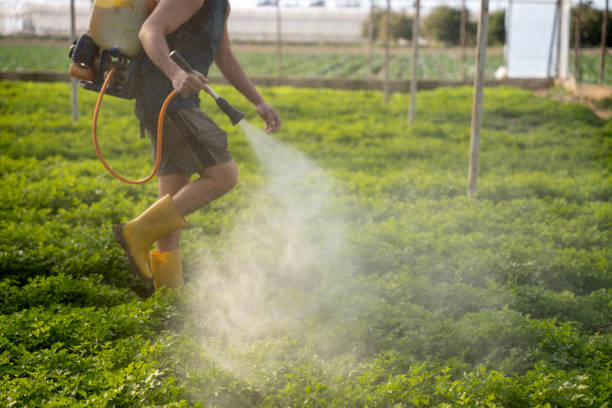 Best Commercial Pest Control Services  in Davidson, NC