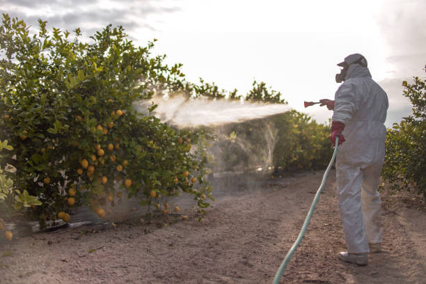 Best Exterminator Services  in Davidson, NC