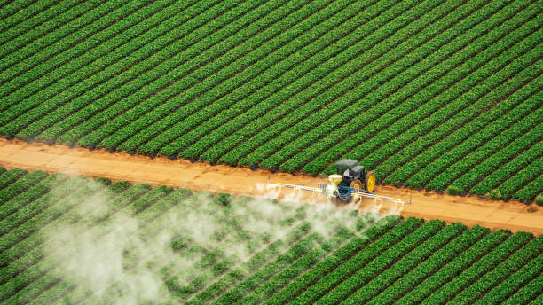 Reliable Davidson, NC Pest Control Solutions