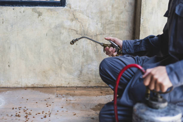 Best Pest Control Treatment  in Davidson, NC